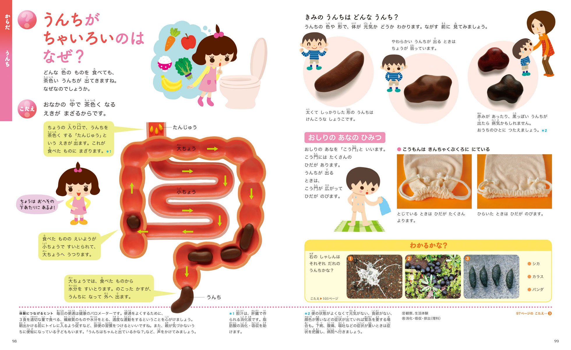 ふしぎの図鑑 小学館の子ども図鑑プレneo 白數 哲久 配送料無料