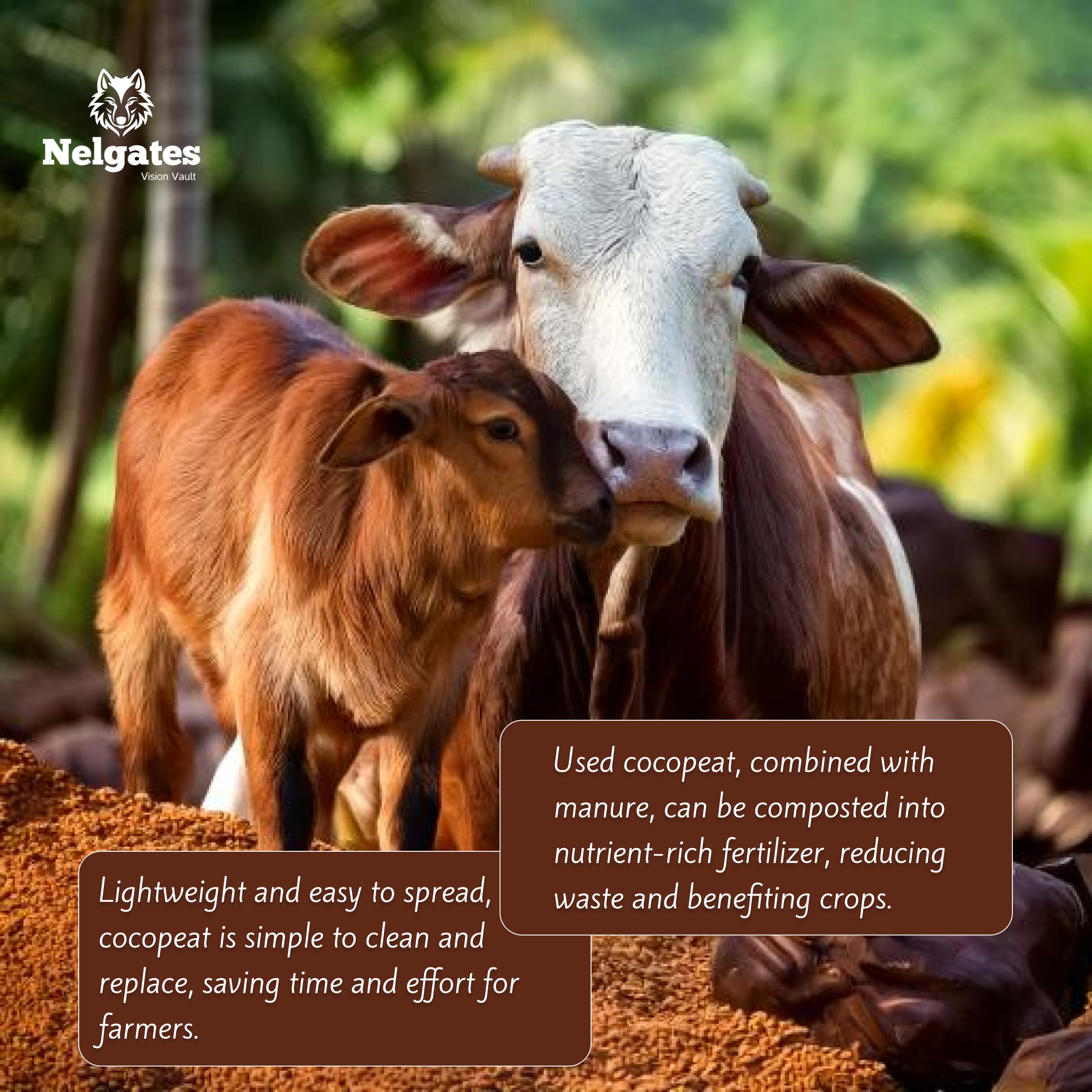 Nelgates Coco peat for Reptile, Horse, Cow, Hen, Pig, Goat Bedding, Natural Coco peat 5kg