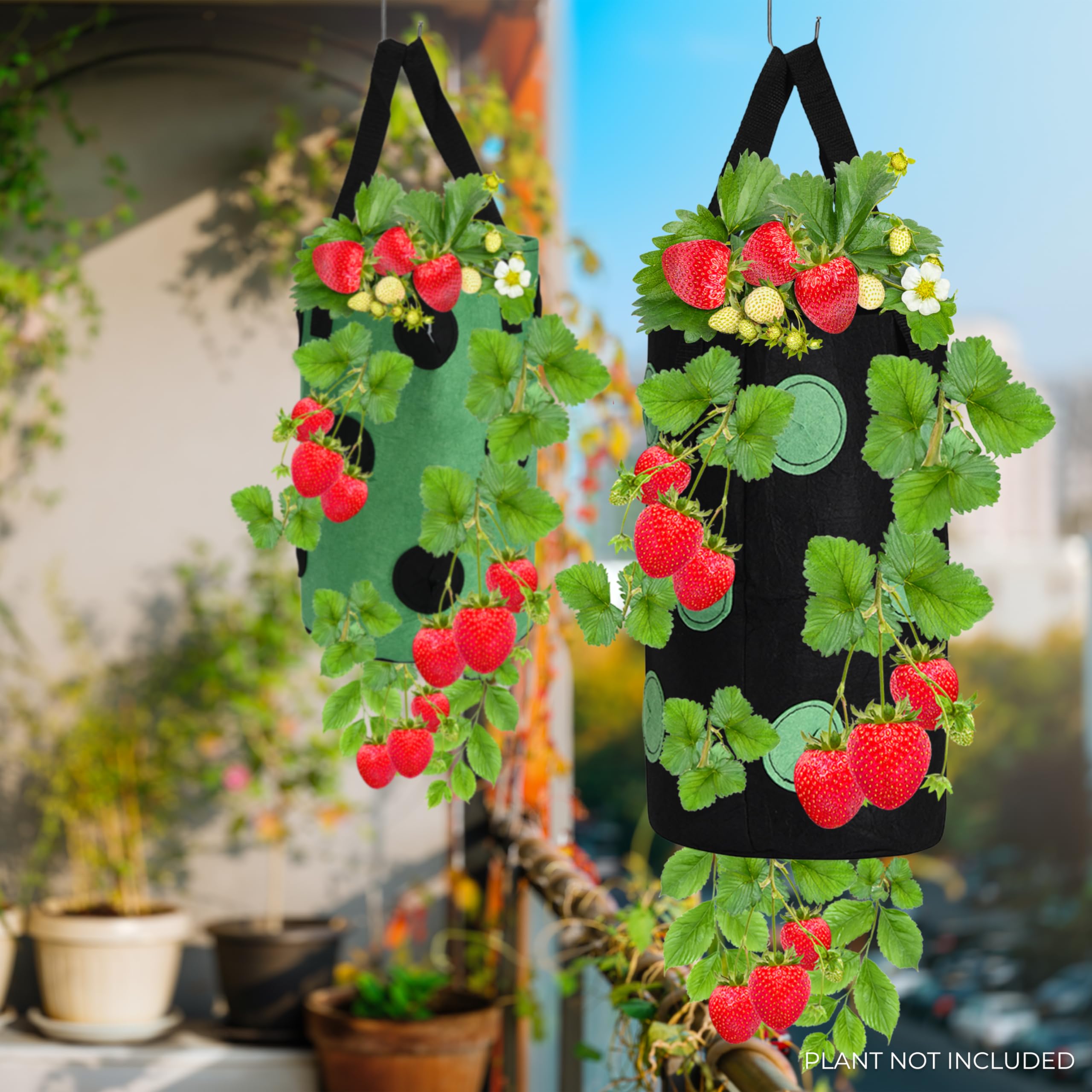 Amazon.com: Window Garden Hanging Strawberry Planter 4pcs - Promotes  Growth, Prevents Root Entanglement - Upside Down Strawberry Planters for  Outdoor Plants - Ideal for Strawberries, Tomatoes, Herbs - 13.7x7.8in :  Patio, Lawn & Garden
