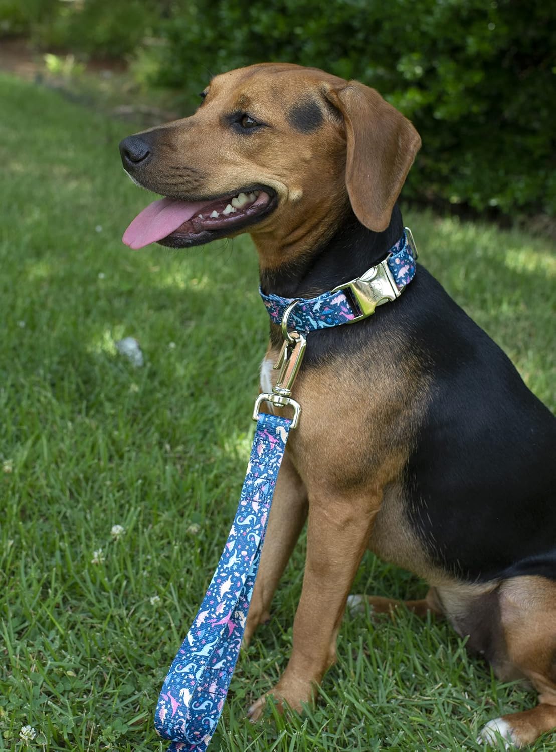 Country Brook Petz - Premium Dinosaurs Dog Collar and Leash - Critter Corner Collection Featuring Creature Themed Designs (1 Inch, Large)