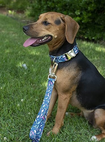 Miniatura 3 de Country Brook Petz - Collar y correa para perro de dinosaurios de alta calidad, colección Critter Corner con 7 diseños temáticos de criaturas (1