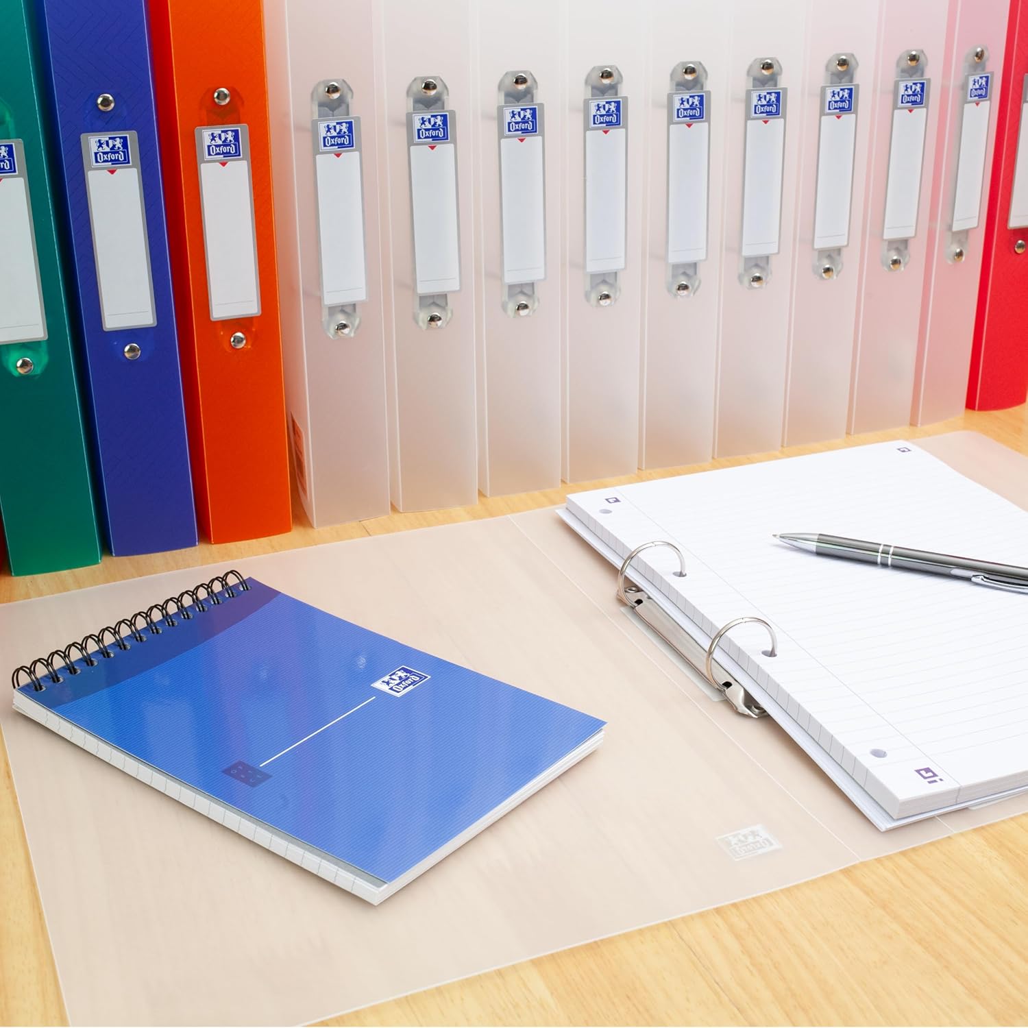 Elba Ring Binder 25mm Capacity A4 Clear