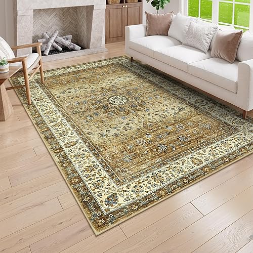 Lahome Alfombra de sala de estar, 5 x 7 pies, lavable para sala de estar, bohemia, oriental, suave, para dormitorio, antideslizante, no se