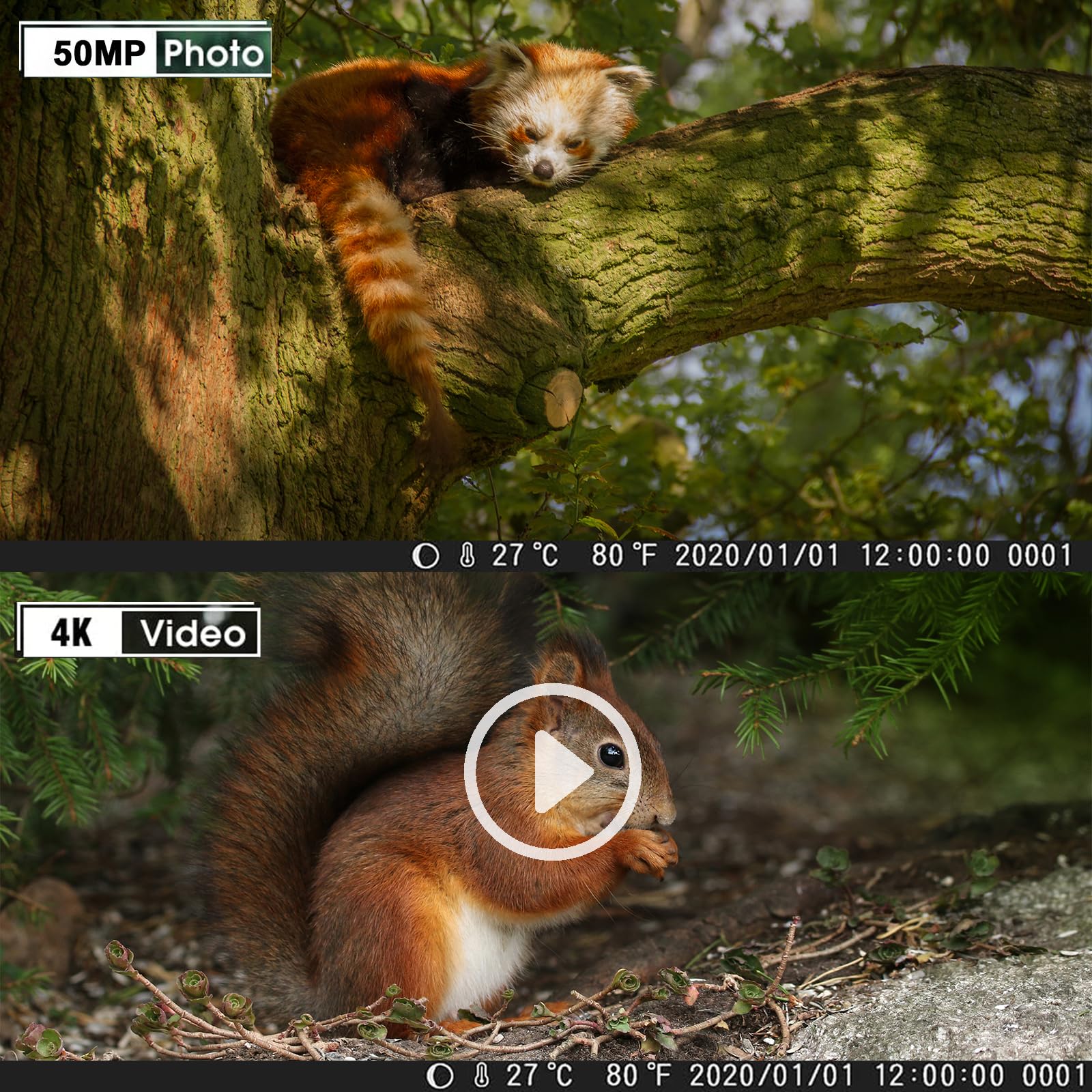 Camara Caza 50MP 4K, Camara Fototrampeo con Sensor de Movimiento, Cámara de Caza Nocturna Impermeable IP65, Visión Nocturna hasta 25m, Micro SD 32GB (HC808A)