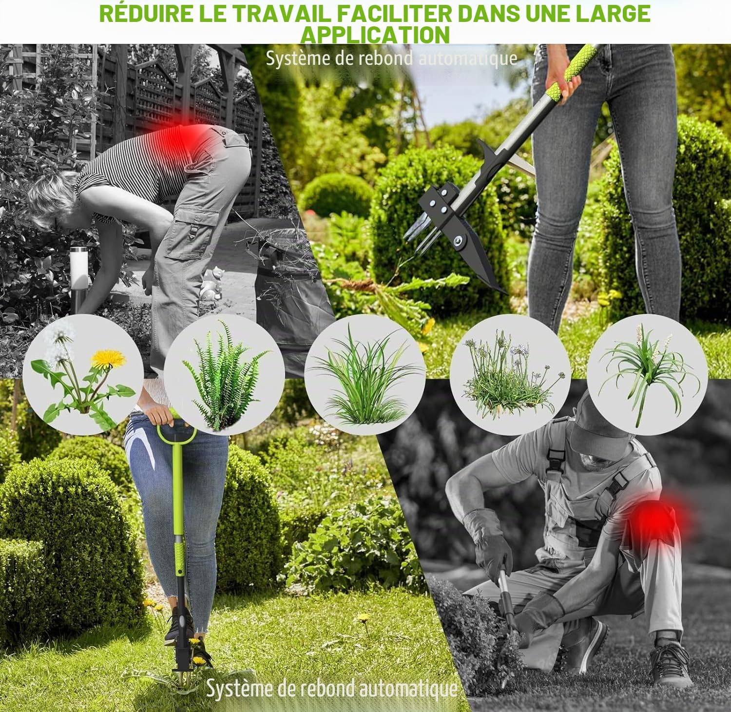 Gardtech Désherbeur Manuel Ergonomie Extracteur de Mauvaises Herbes avec pédale à 4 Griffes et Pied en Acier Inoxydable 100cm Outil Manuel pour Jardin et pelouse