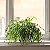Product Photo 8