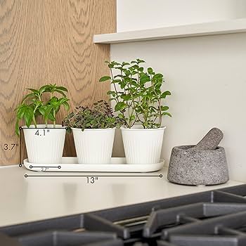 Herb planters indoor (herb garden, common issues, Growing Needs, consistently moist, indoor herb garden) Herb planters indoor