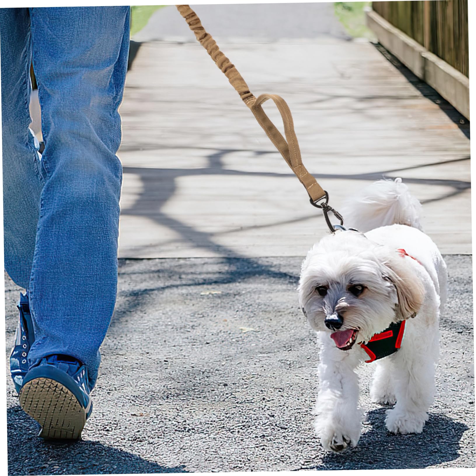 INOOMP 3 Pz Guinzaglio Per Addestramento Del Cane Animale Domestico Guinzagli Ad Anello a Catena Cinghia Guinzaglio Di Corda Elegante Guinzaglio Per Cani All'aperto Anello Della Catena