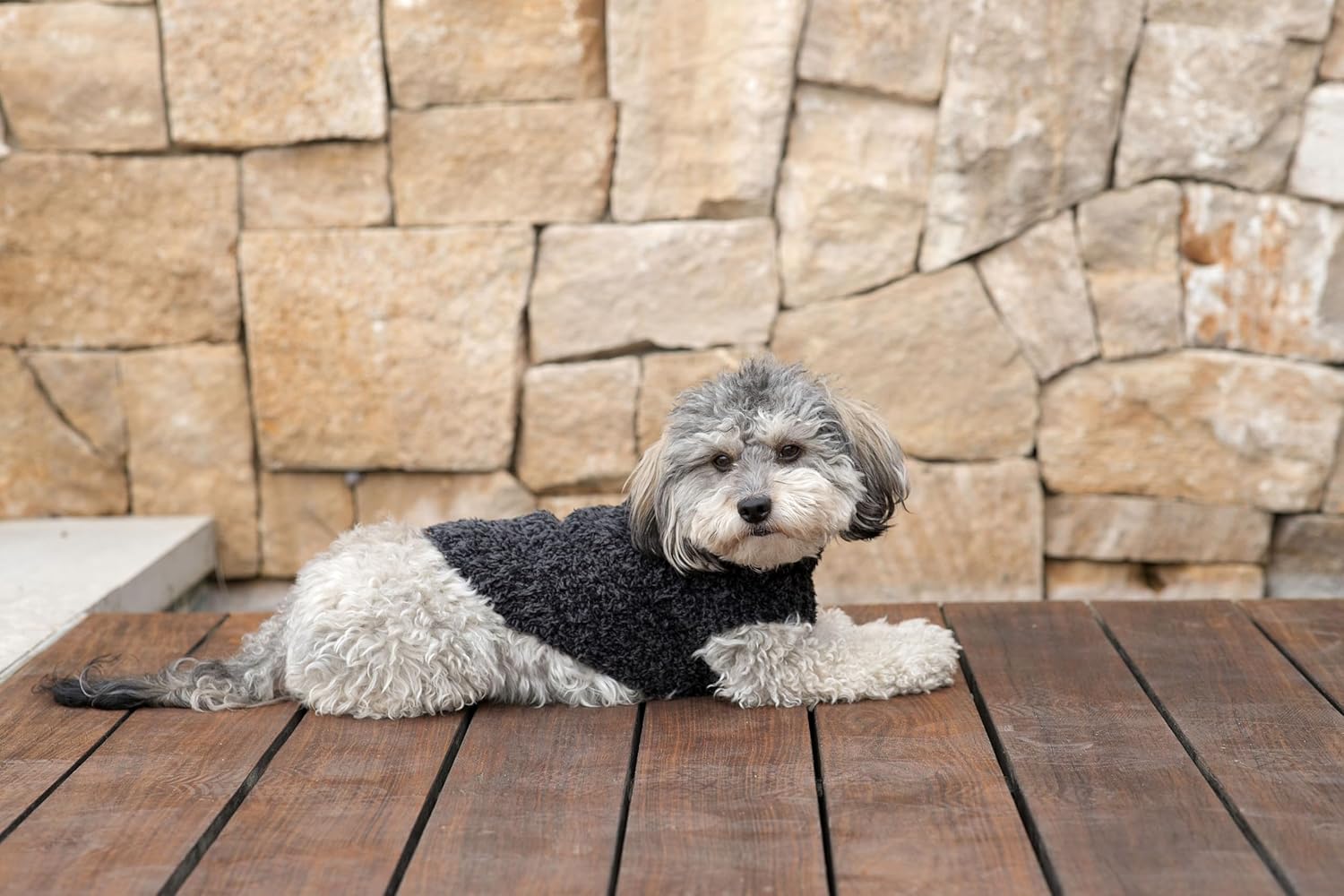 Barefoot Dreams® CozyChic® Ribbed Pet Sweater, Heathered Carbon-Black, X-Large