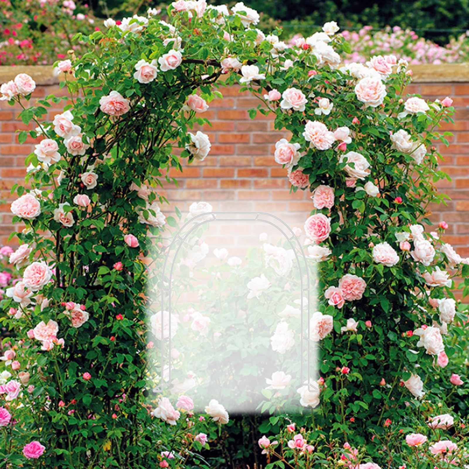 Pérgola de jardín metálica con Arco para Enredaderas y Rosales - Cenador Blanco, Bodas - Dimensiones: 80-350 cm de Ancho, 280 x 220 cm (9,2 x 7,2 pies) - Soporte para Plantas d
