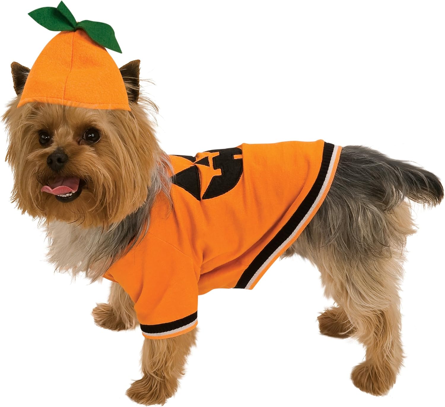 large dog pumpkin costume