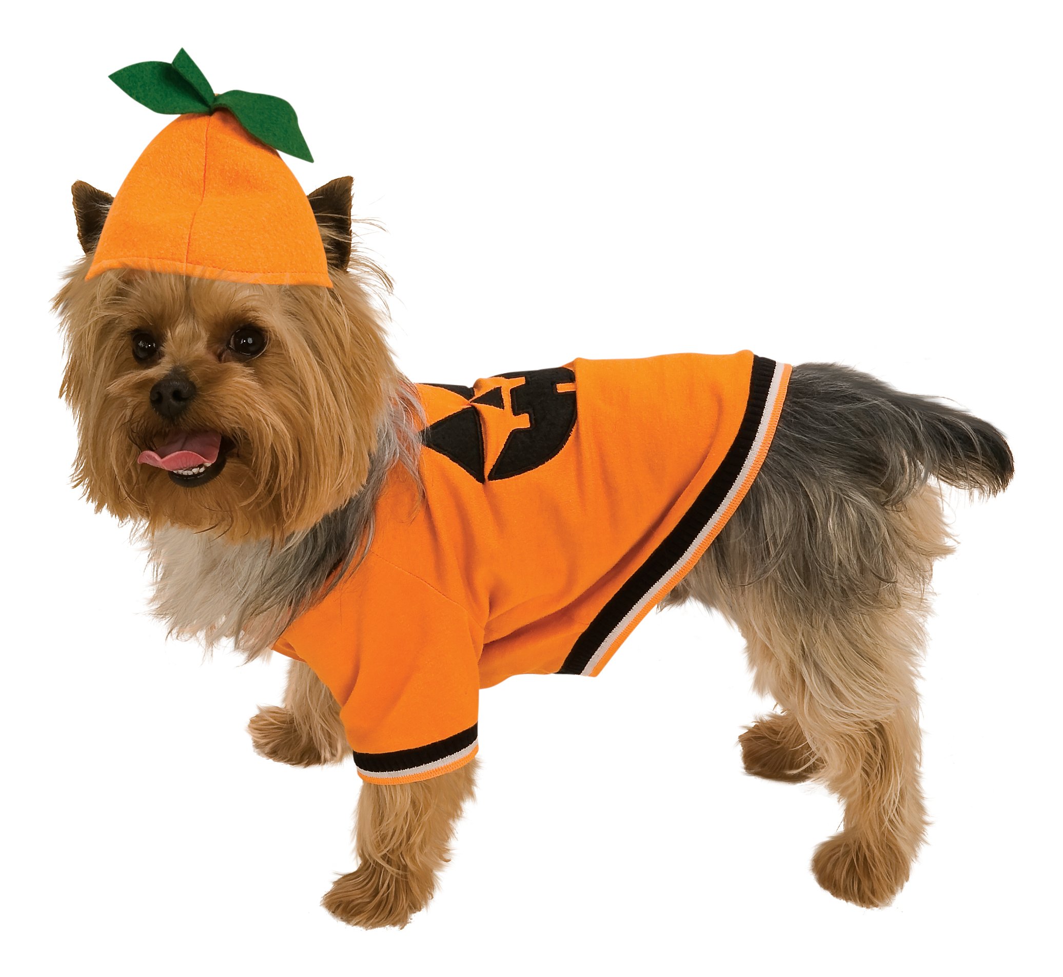 Rubie's - Costume da zucca per animali domestici, taglia XS