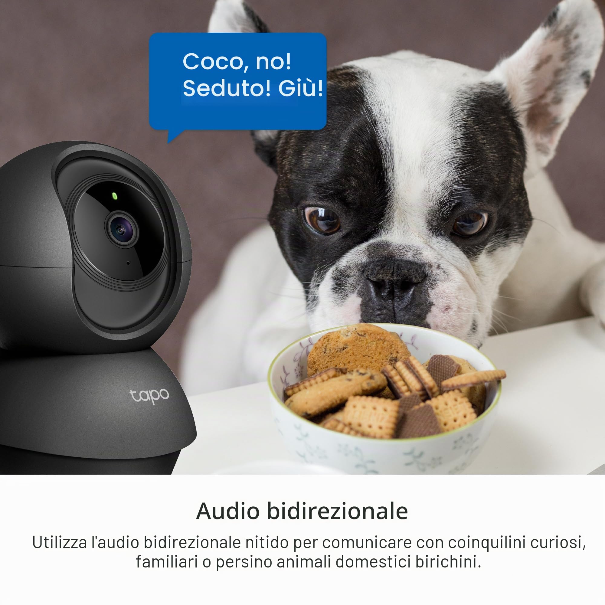 Tapo C211 2K 3MP Pan/Tilt Telecamera di sicurezza per interni, Telecamera WiFi, senza canone mensile, rilevamento AI, telecamera per cani, monitor per bambini, CCTV, visione a 360°, visione notturna