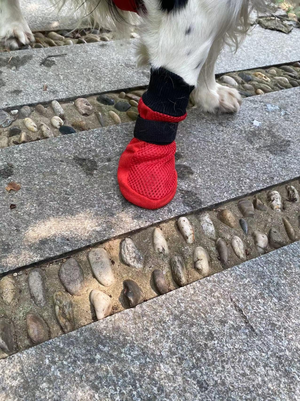 LONSUNEER Dog Shoes Soft and Lightweight, Dog Boots with Breathability Fabric, Dog Booties for Spring Summer and Fall Set of 4 Size X-Large Color Red