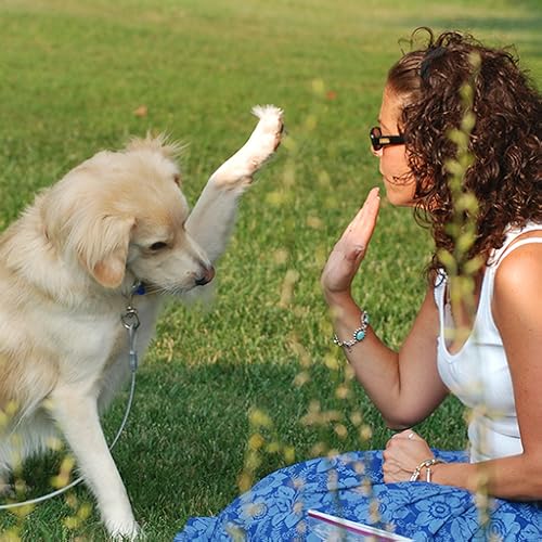 Dog Care Duty - //medicalbooks.filipinodoctors.org