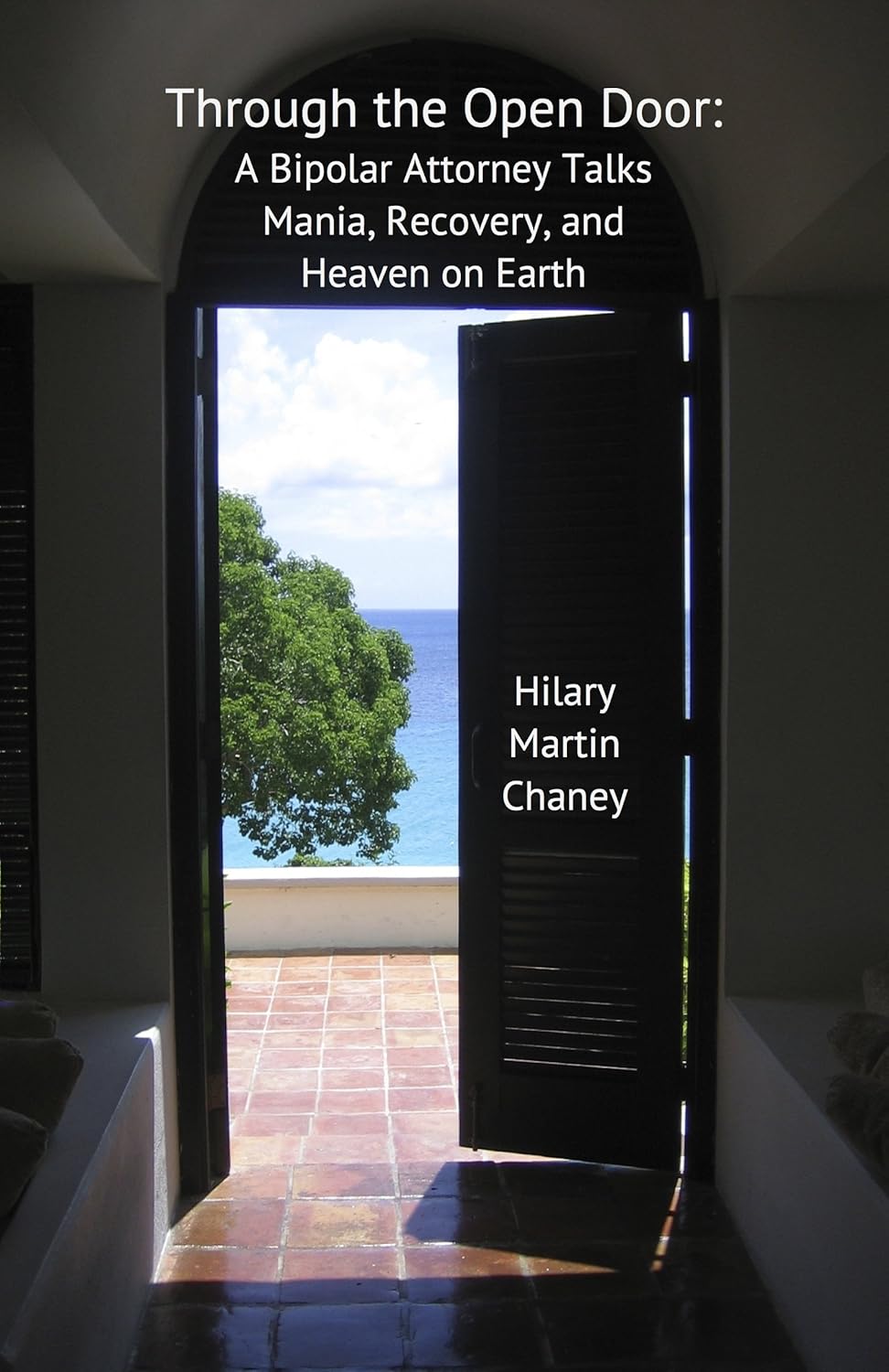 Through the Open Door A Bipolar Attorney Talks Mania, Recovery, and