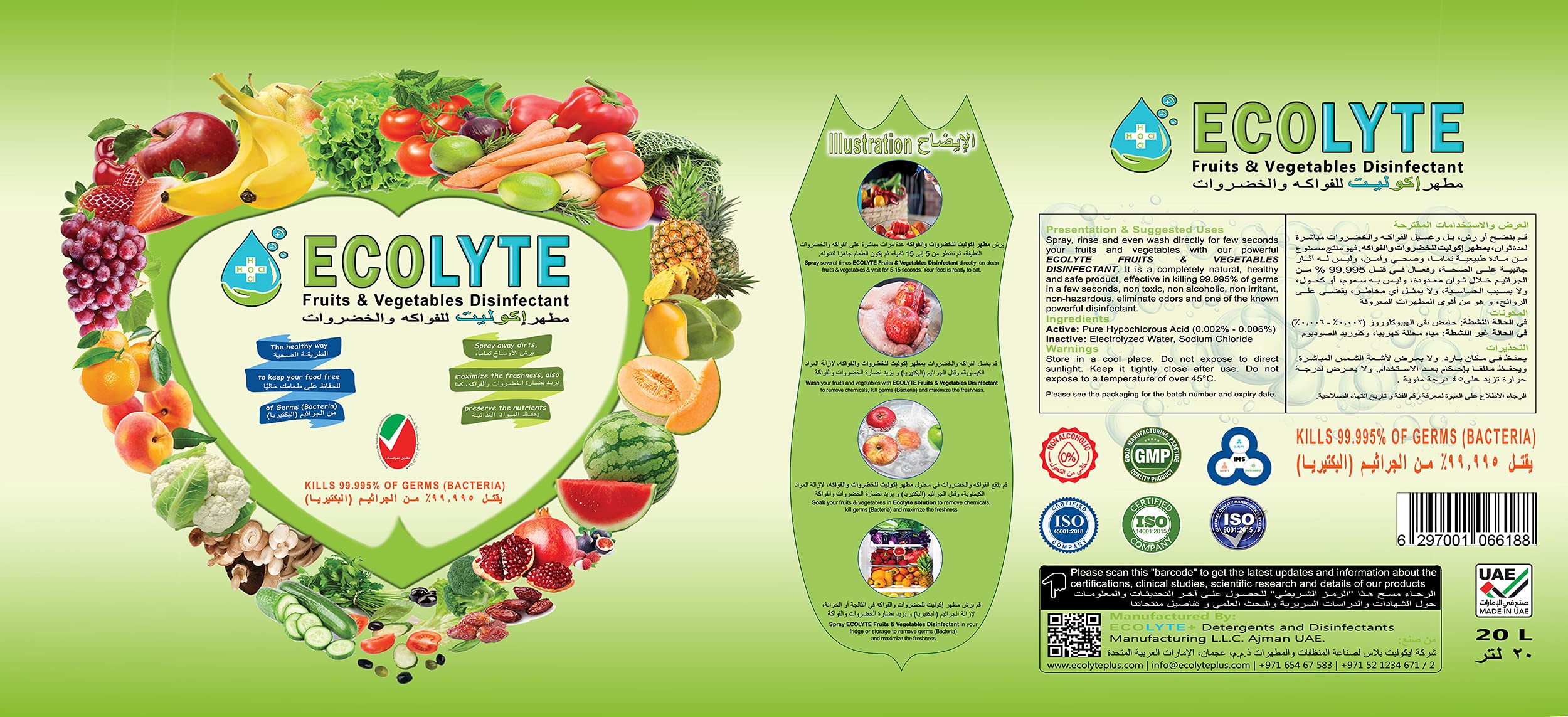 Buy Ecolyte Disinfectant Spray and Food Spray and Food Sanitizer 20