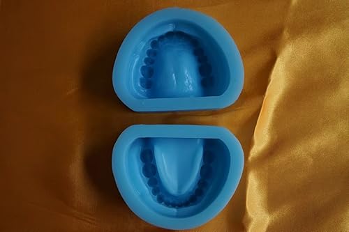 Miniatura 10 de S & D Dental Enseñanza demostración Modelo dentition desarrollo modelo Ortho clasificación, 1