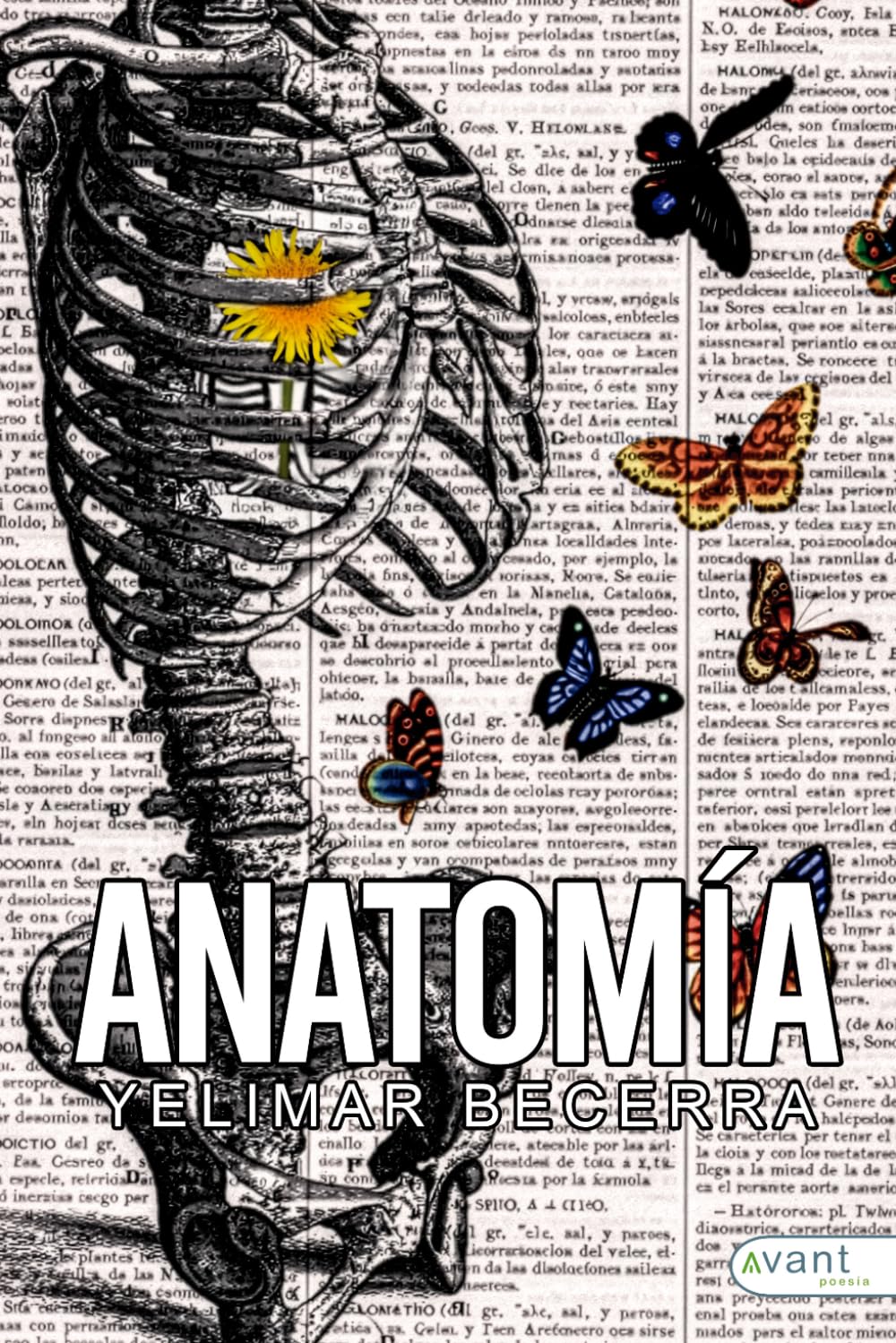 Anatomía