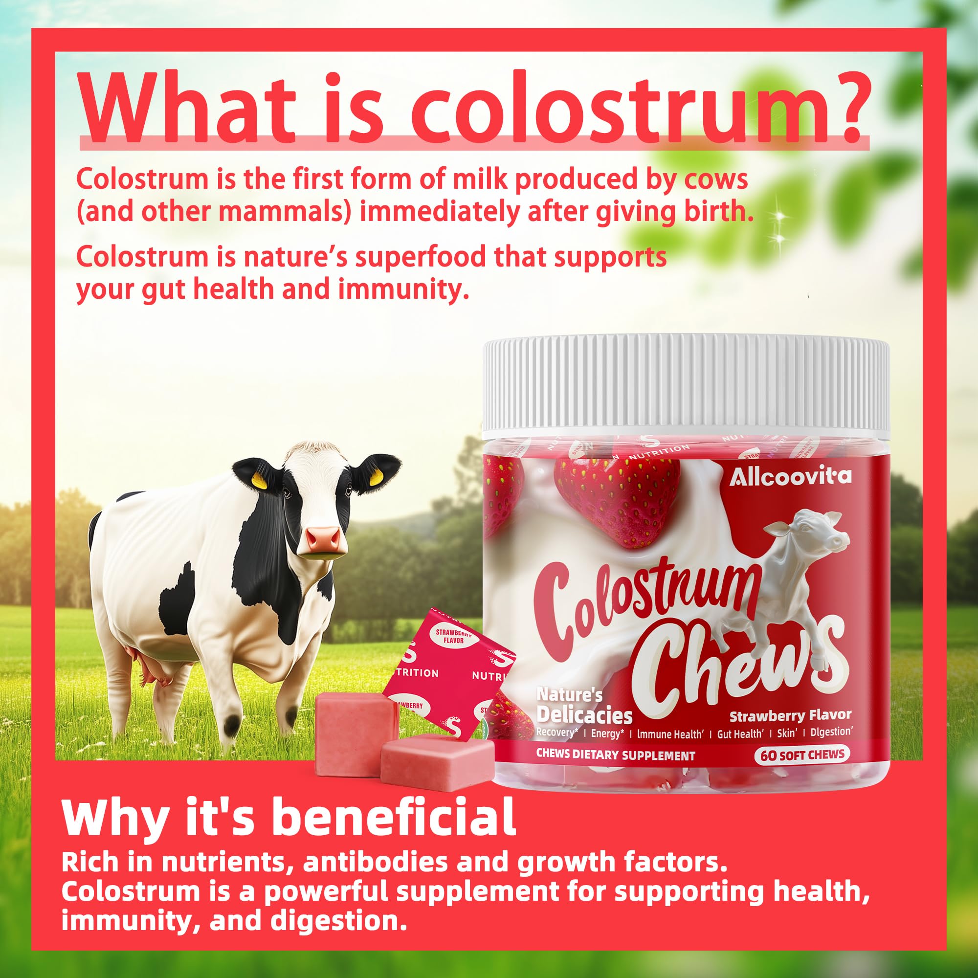 Bovine Colostrum Chews Supplement with probiotics for Gut Health, Bloating, Immune Support, Skin, Hair Growth and Beauty - Strawberry Flavor (60 Servings)