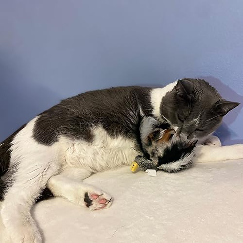 Miniatura 16 de Ethical Pet Products (Spot) SPOT CSO2829 - Juguete de plumas para gatos, surtido (773402)