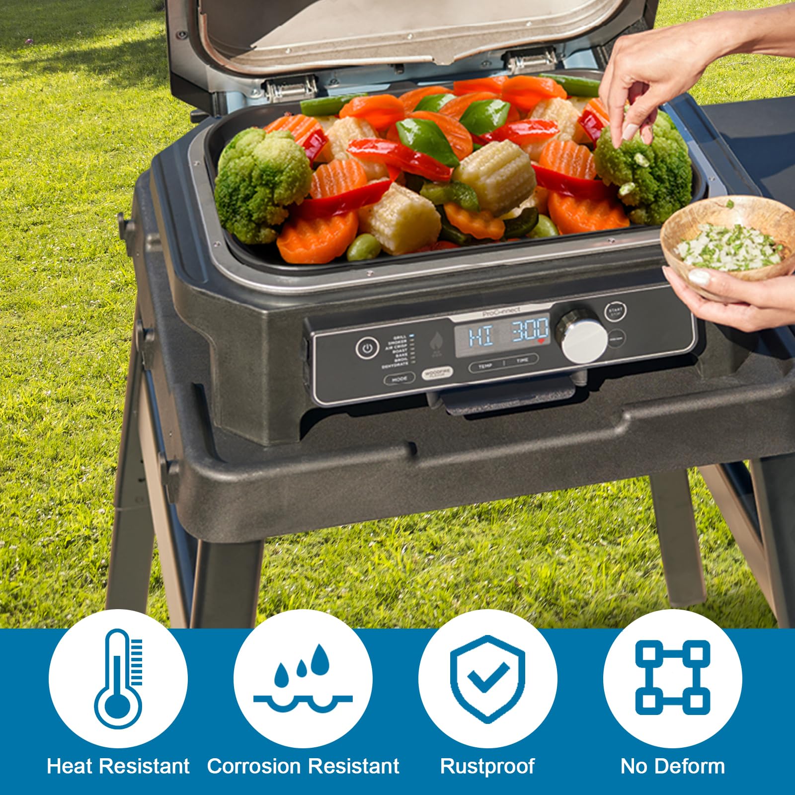 Amazon.com: Griddle Plate for Ninja Woodfire Pro Connect XL