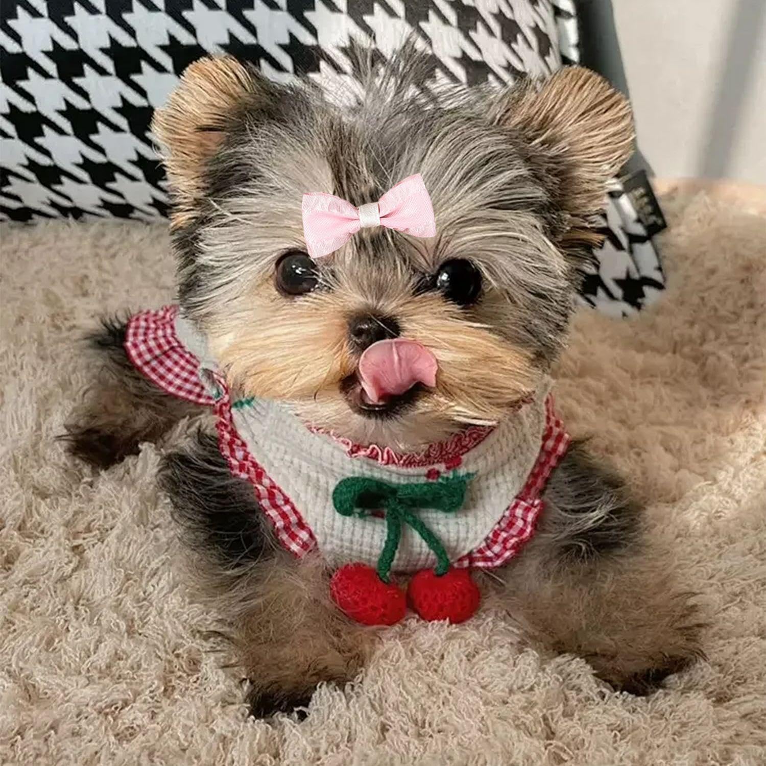 10 Morceaux De Poils d'animaux, Accessoires De Cheveux pour Animaux De Compagnie, Anneaux De Cheveux Mignons, Anneaux De Cheveux Élastiques Et Fournitures pour Animaux De Compagnie.