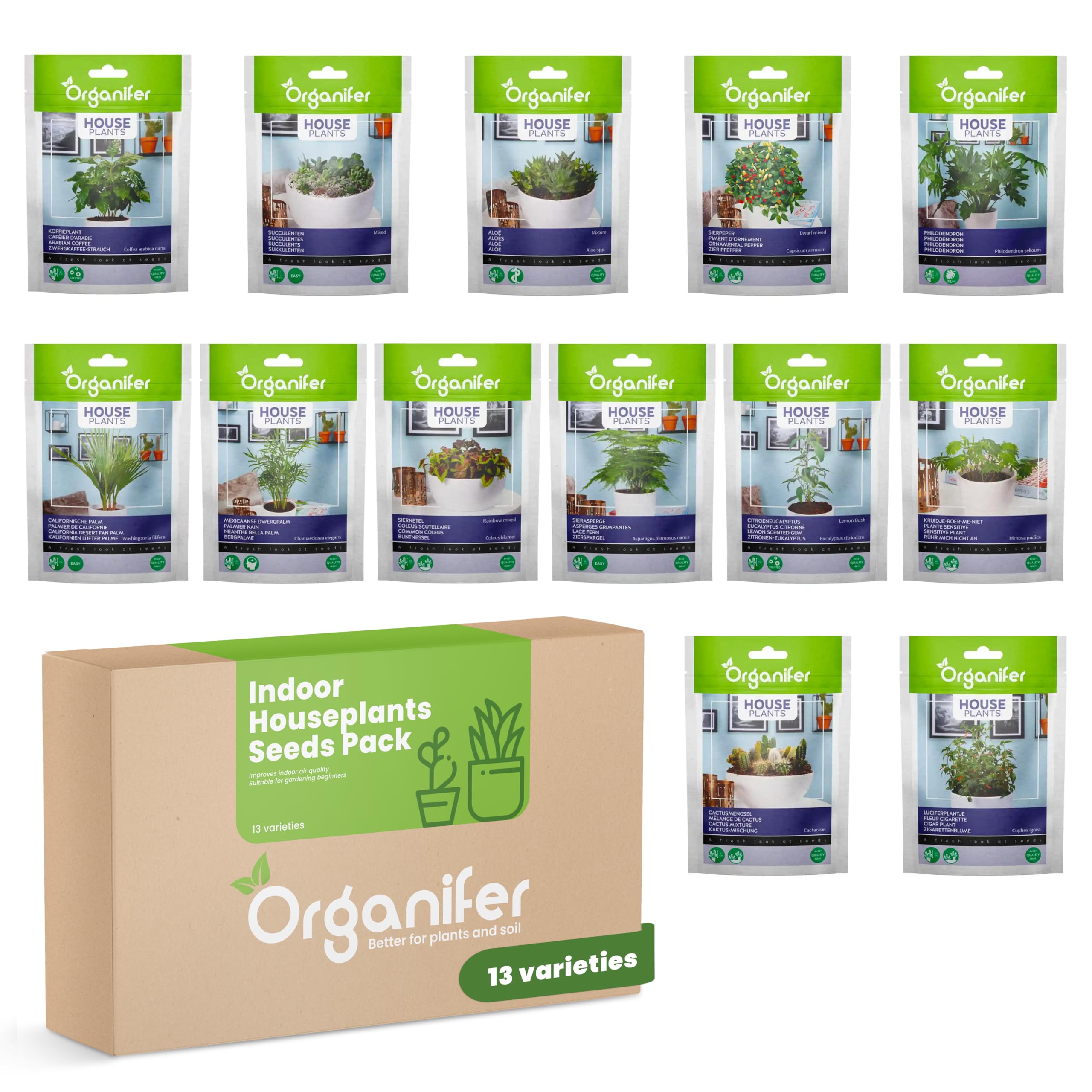 Zimmerpflanzensamen-Paket - Zimmerpflanzensamen - Pflanzensamen -  Samenpflanzen - Samen-Zimmerpflanzenmischung - 13 Sorten - Organifer :  Amazon.de: Garten