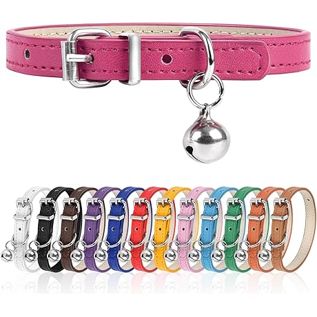 XXS Teacup Dog Collar | Delightful for Small, Medium, & Large Pups
