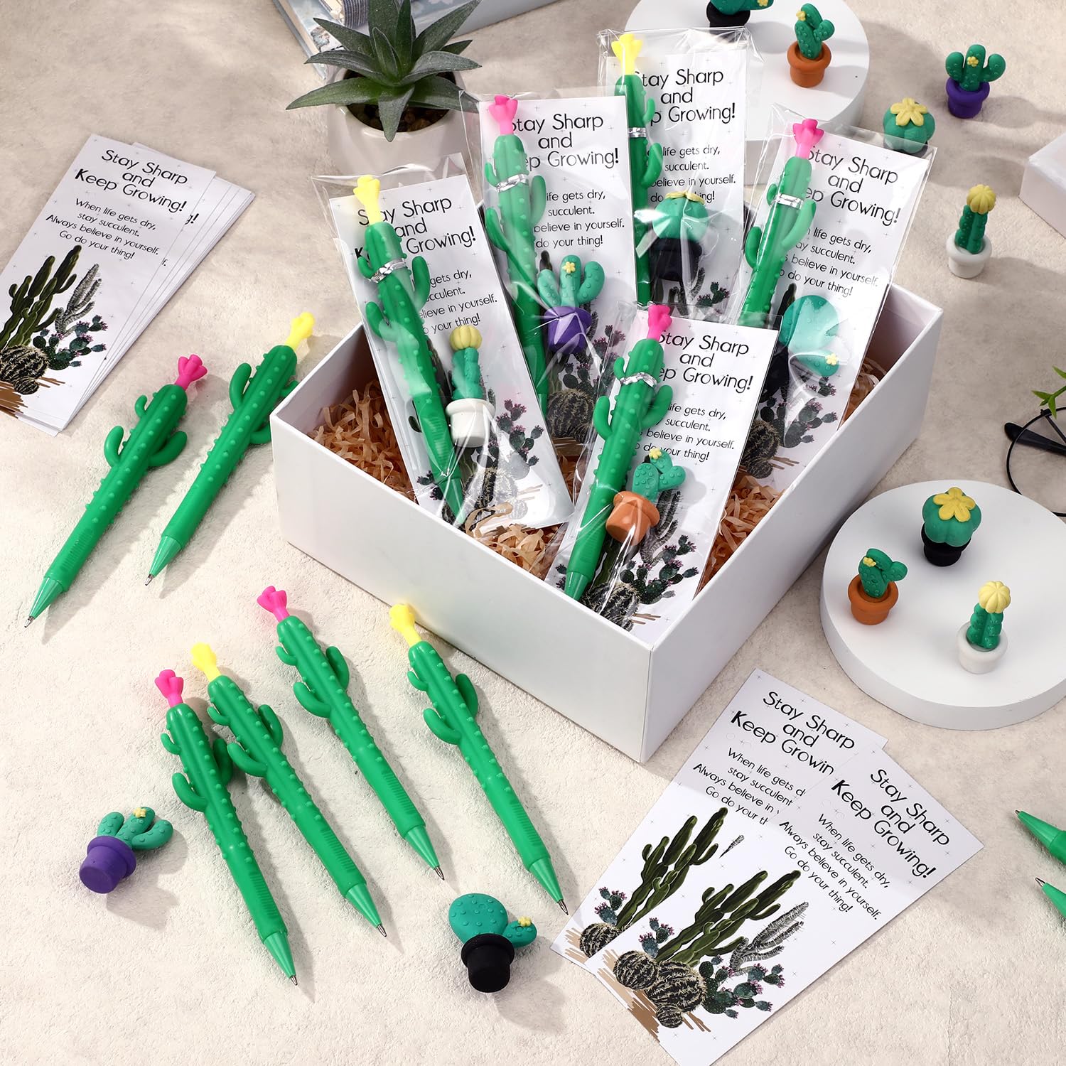 Graduating Cactus Snapklik.com : 20 Sets Graduation Gifts Cactus Mechanical Pencils ...