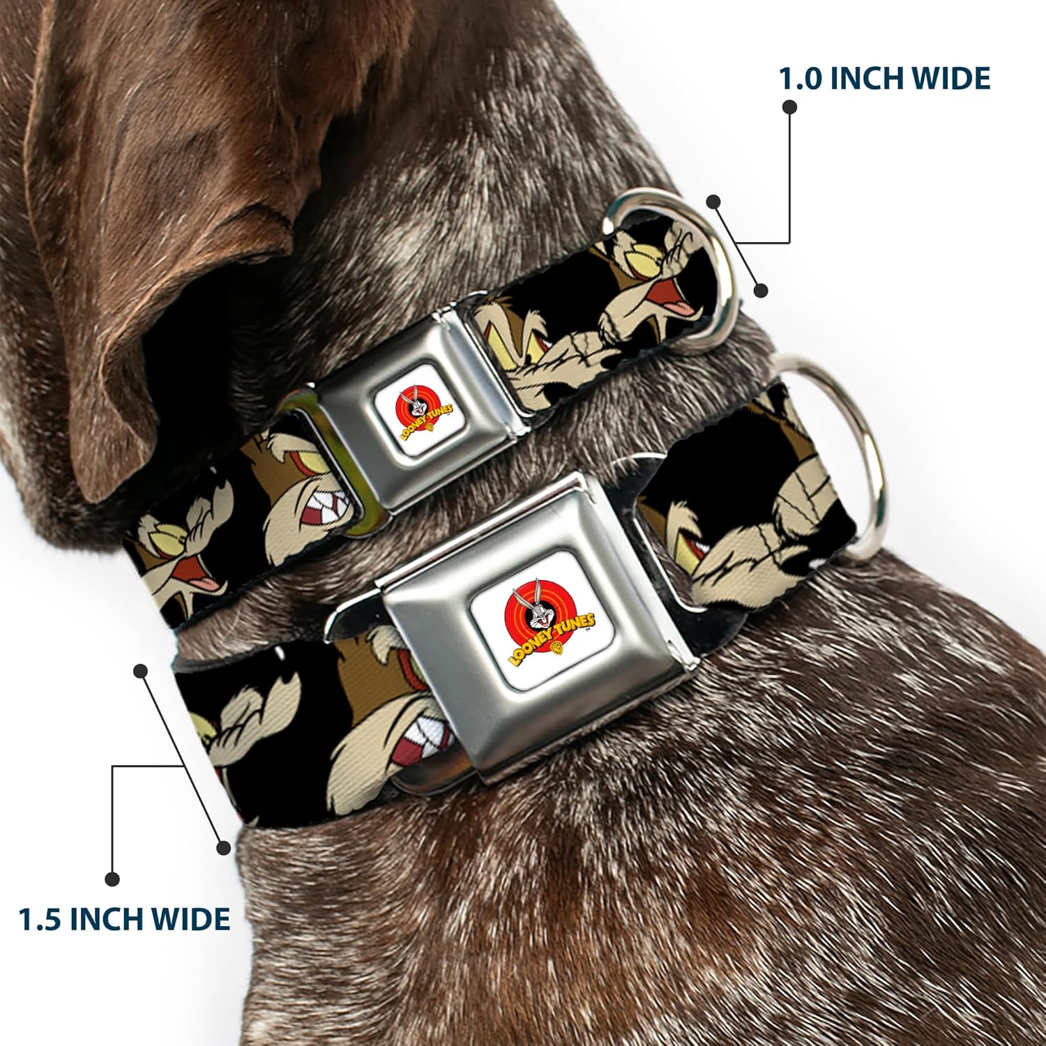 Buckle-Down Seatbelt Buckle Dog Collar - Wile E. Coyote Expressions Black - 1" Wide - Fits 15-26" Neck - Large