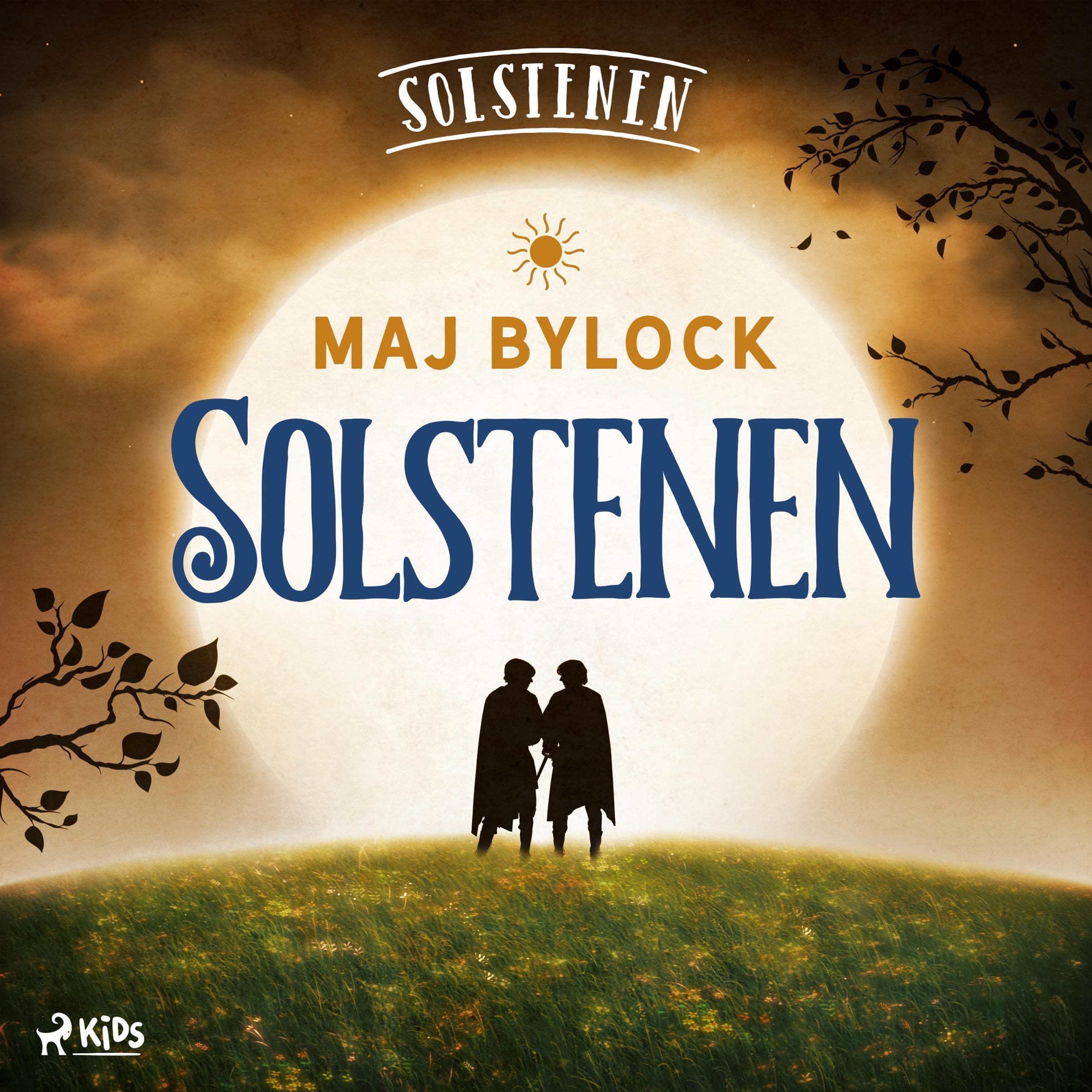 Cover art for Solstenen