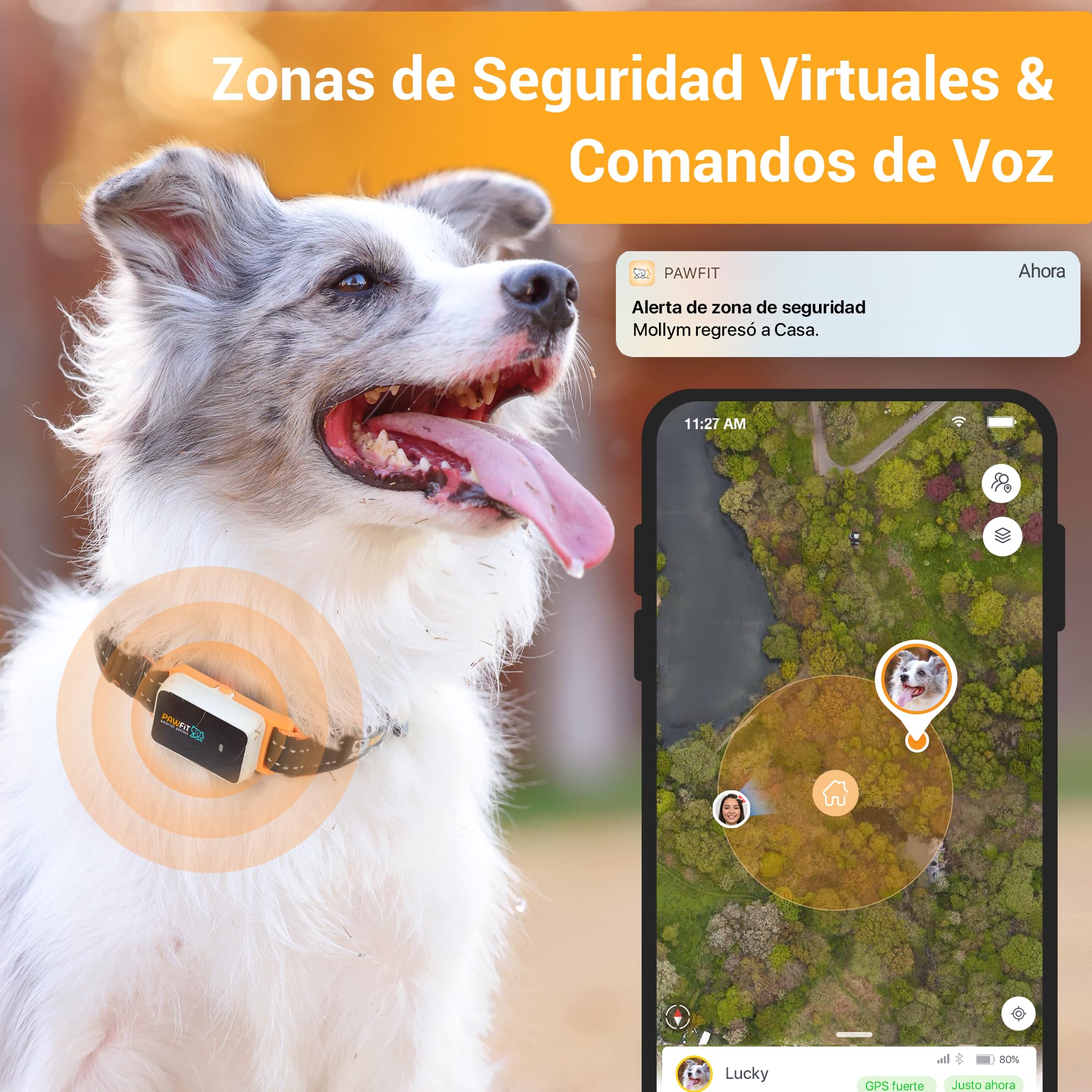 Pawfit 3 Rastreador GPS para Perros 4G, Seguimiento en Vivo, Impermeable, Llamada de Voz Remota
