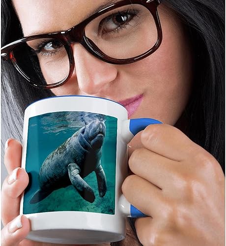 Miniatura 2 de 3dRose mug_45536_6 "West Indian Manatee Trichechus manatus in Florida, USA" Taza azul de dos tonos, 11 onzas, multicolor