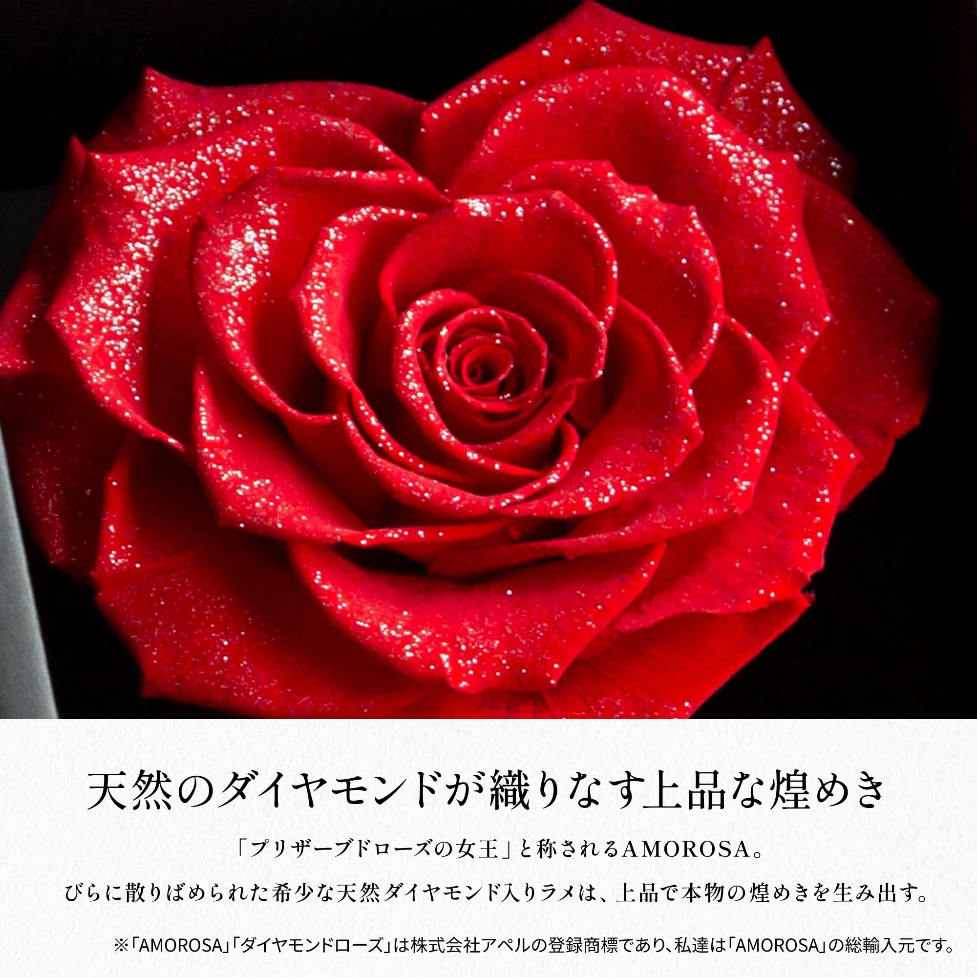 Amazon.co.jp: アモローサ モデルノ AMOROSA MODERNO プリザーブド