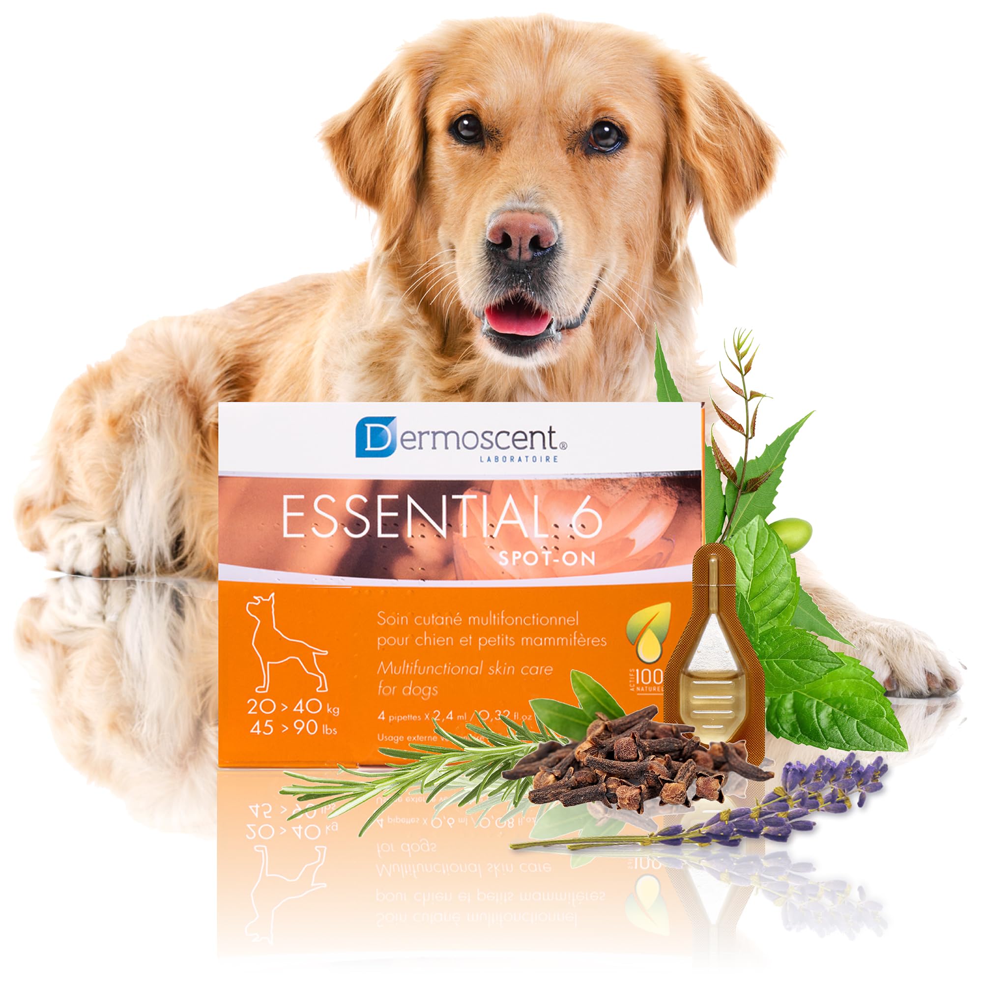 Innovative Hautpflegelösung für Hunde und kleine Haustiere | Feuchtigkeitsspendend, glänzend, kontrolliert Haarausfall, reduziert Gerüche und schützt mit natürlichen Inhaltsstoffen | 20-40 kg