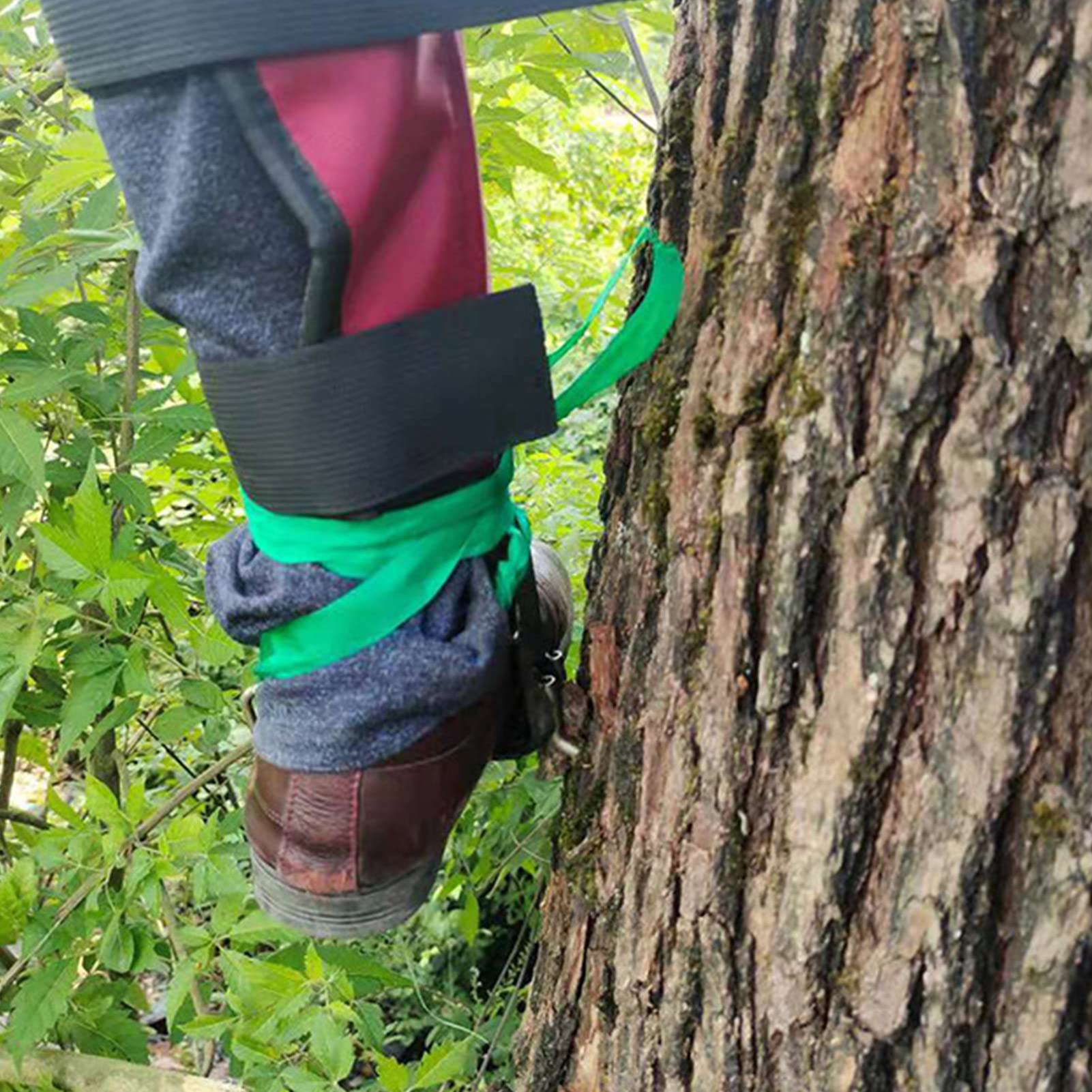 Veilig boomklimmen hoort bij buitenspelen - Ouders van nature