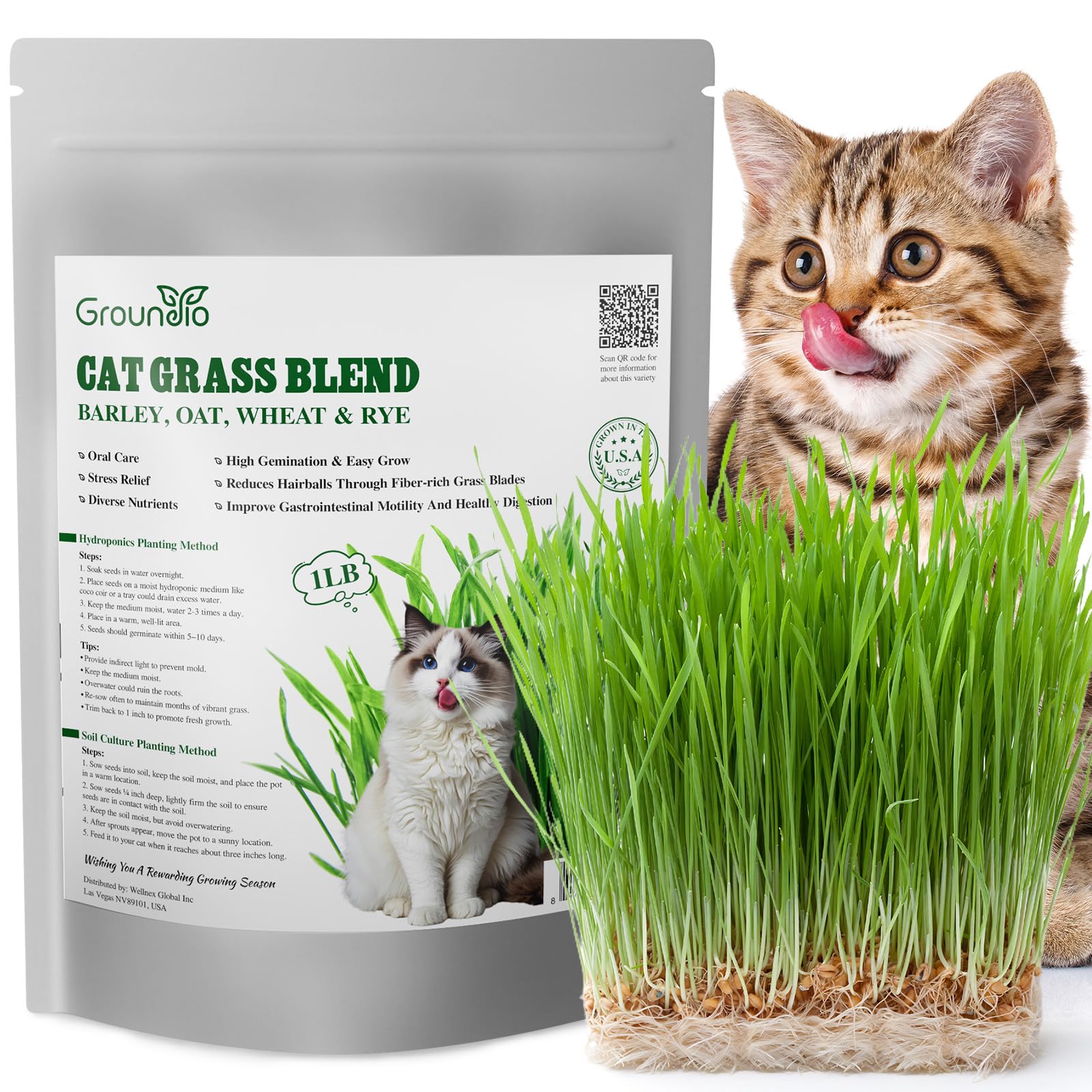 Groundio Cat Grass Seeds Bulk 1LB