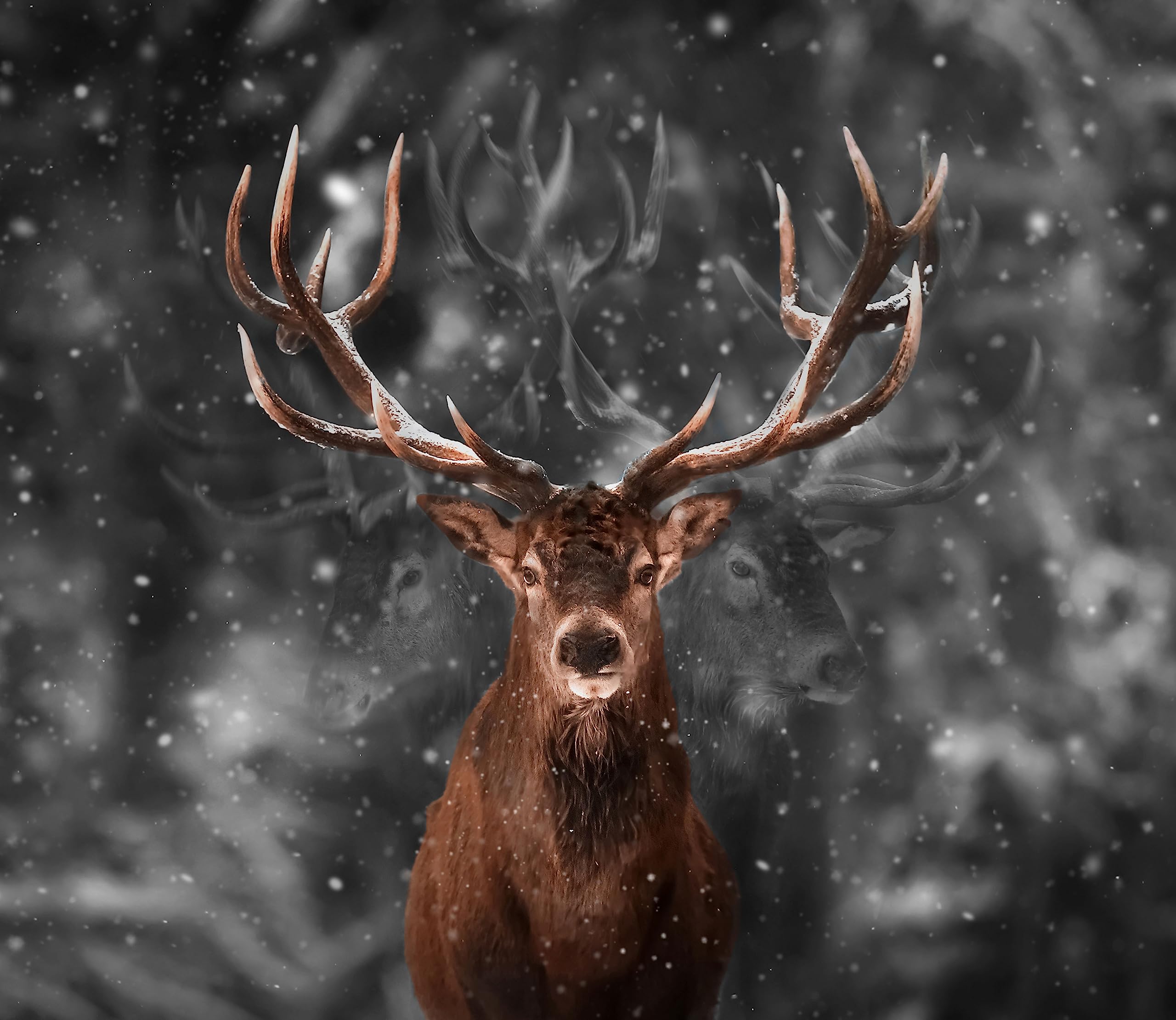 Machtvoller Hirsch im Winterwald B&W Detail Herdabdeckplatte & Spritzschutz aus Echtglas | Für Herd-Kochfelder | 60x52 cm