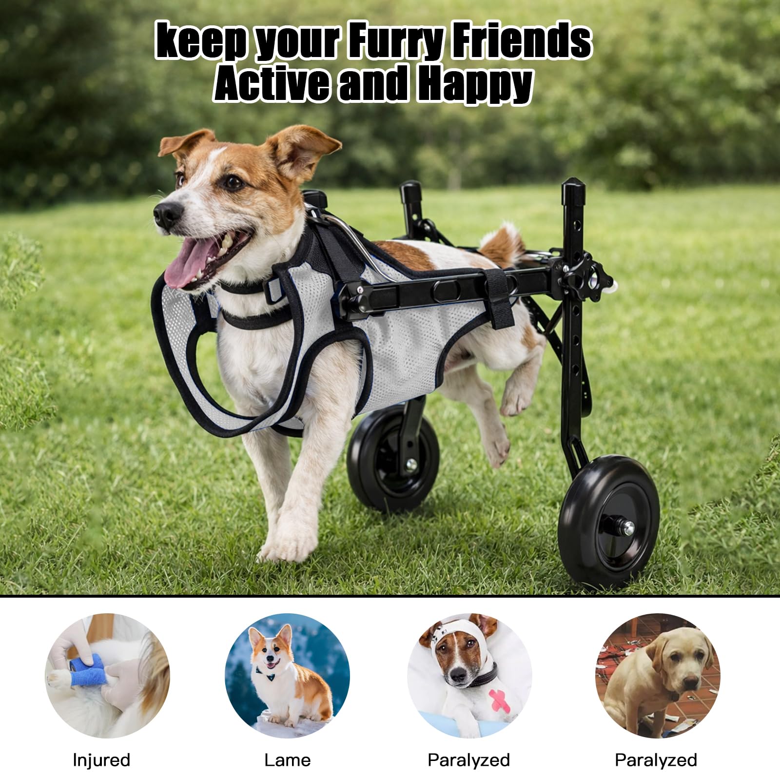 Silla De Ruedas Para Patas Traseras, Carrito De Movilidad Ajustable Con Malla Transpirable Y Hebillas De Seguridad, Marco De Aluminio Ligero Para Perros Y Gatos Pequeños, Ideal Para Parálisis Y