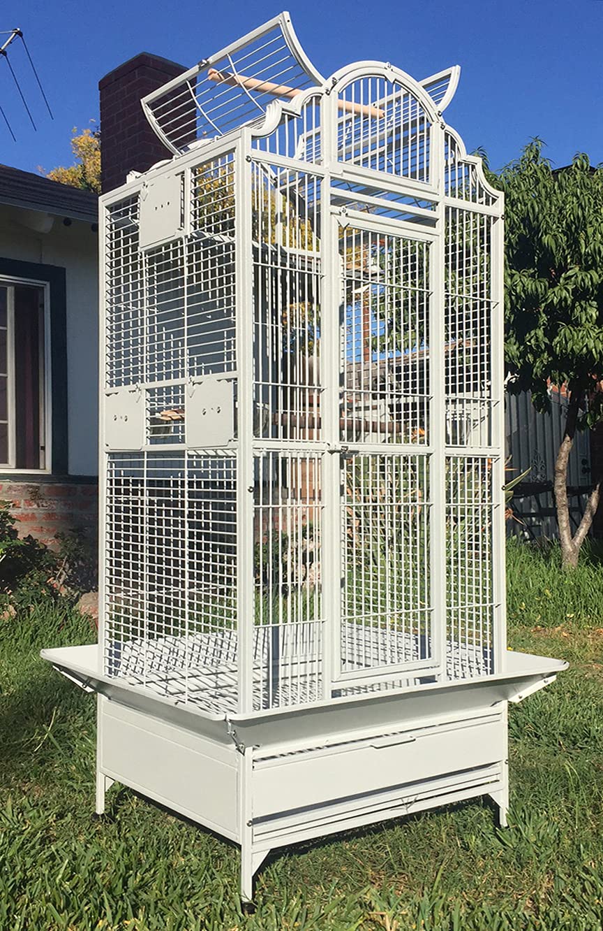 Buy Large Elegant and Durable Wrought Iron Open/Close Play Top Bird