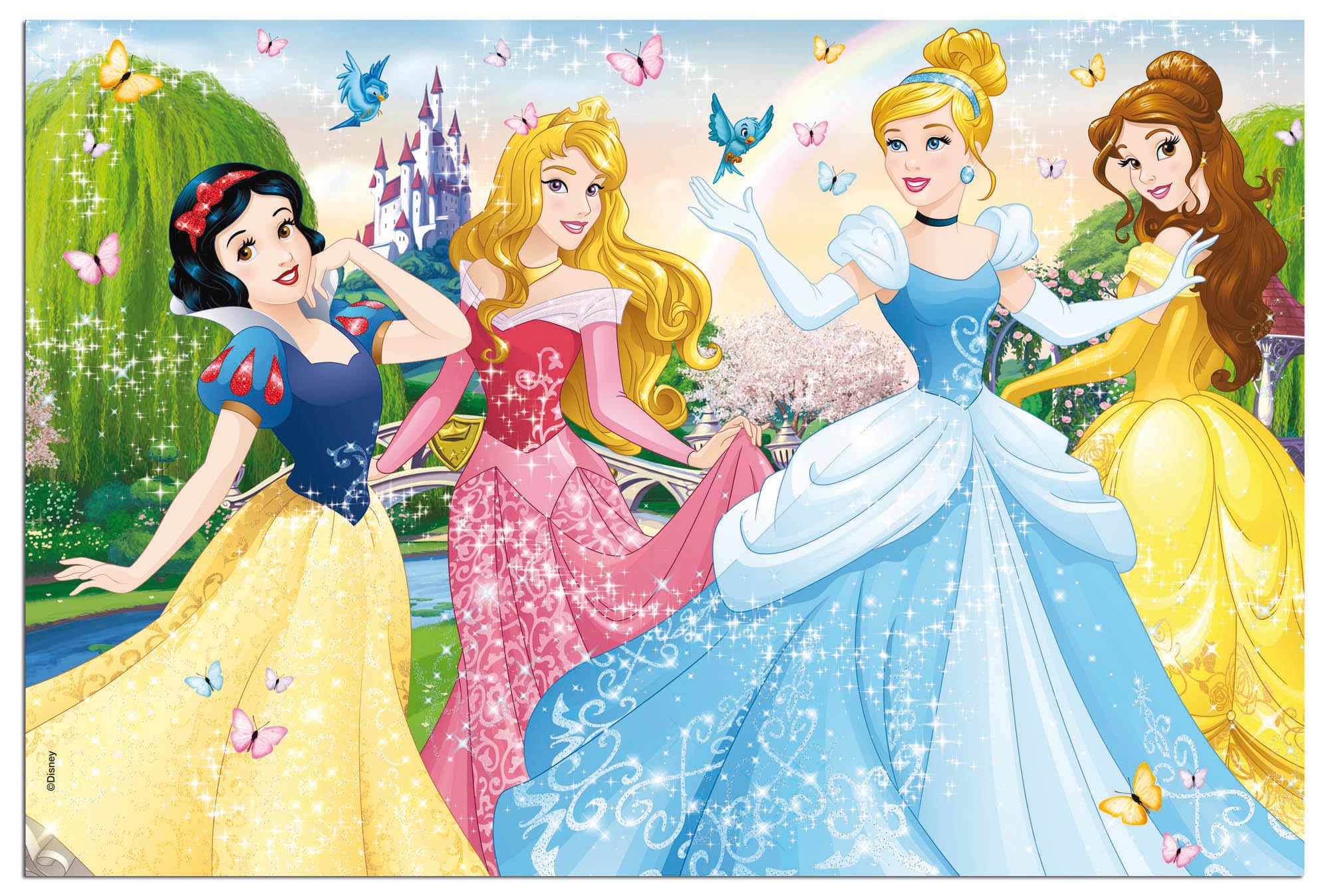 Amazon.com: Disney 47901 Puzzle Df Plus Princess, Size-50 x 35 cm