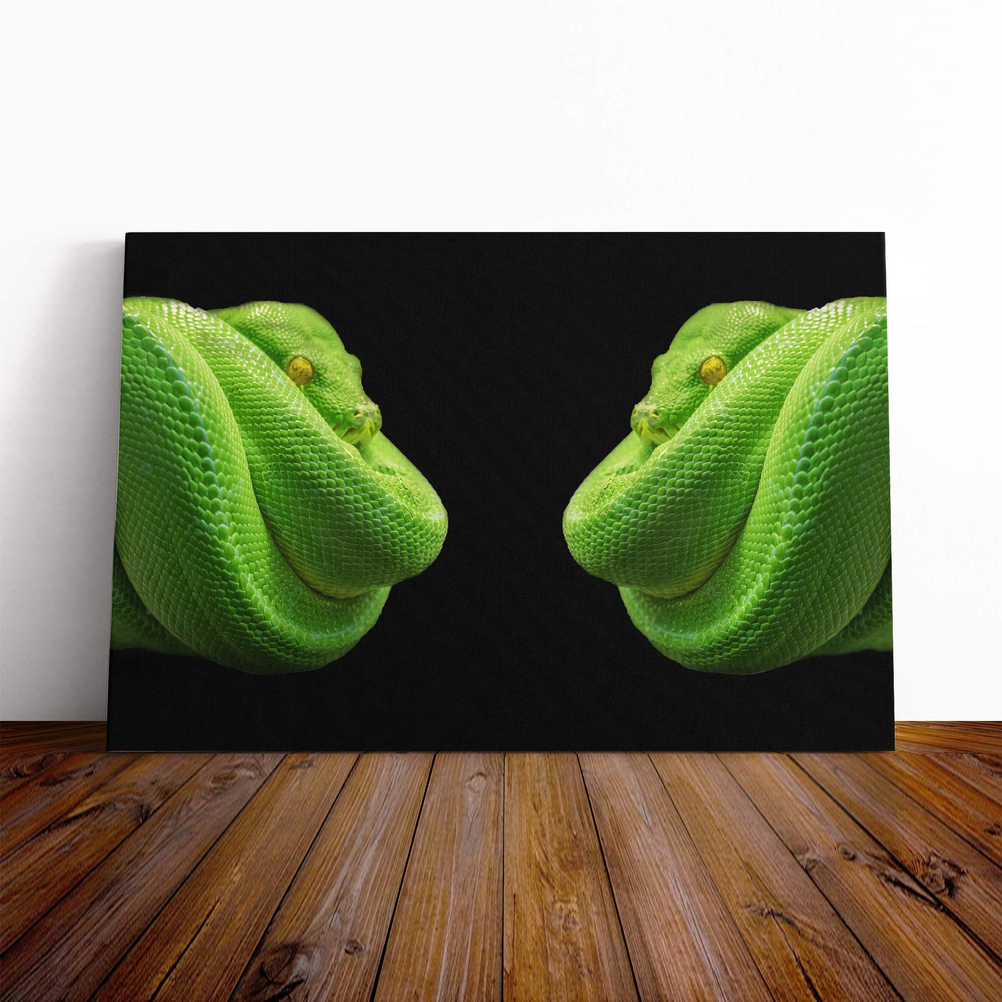 Green Tree Python Snake Vol.2 Canvas Print | Gallery Wrapped 30mm Frame Wall Art | 24x16 inches | Ready to Hang | Modern Animals Picture | Living Room Bedroom Lounge Office