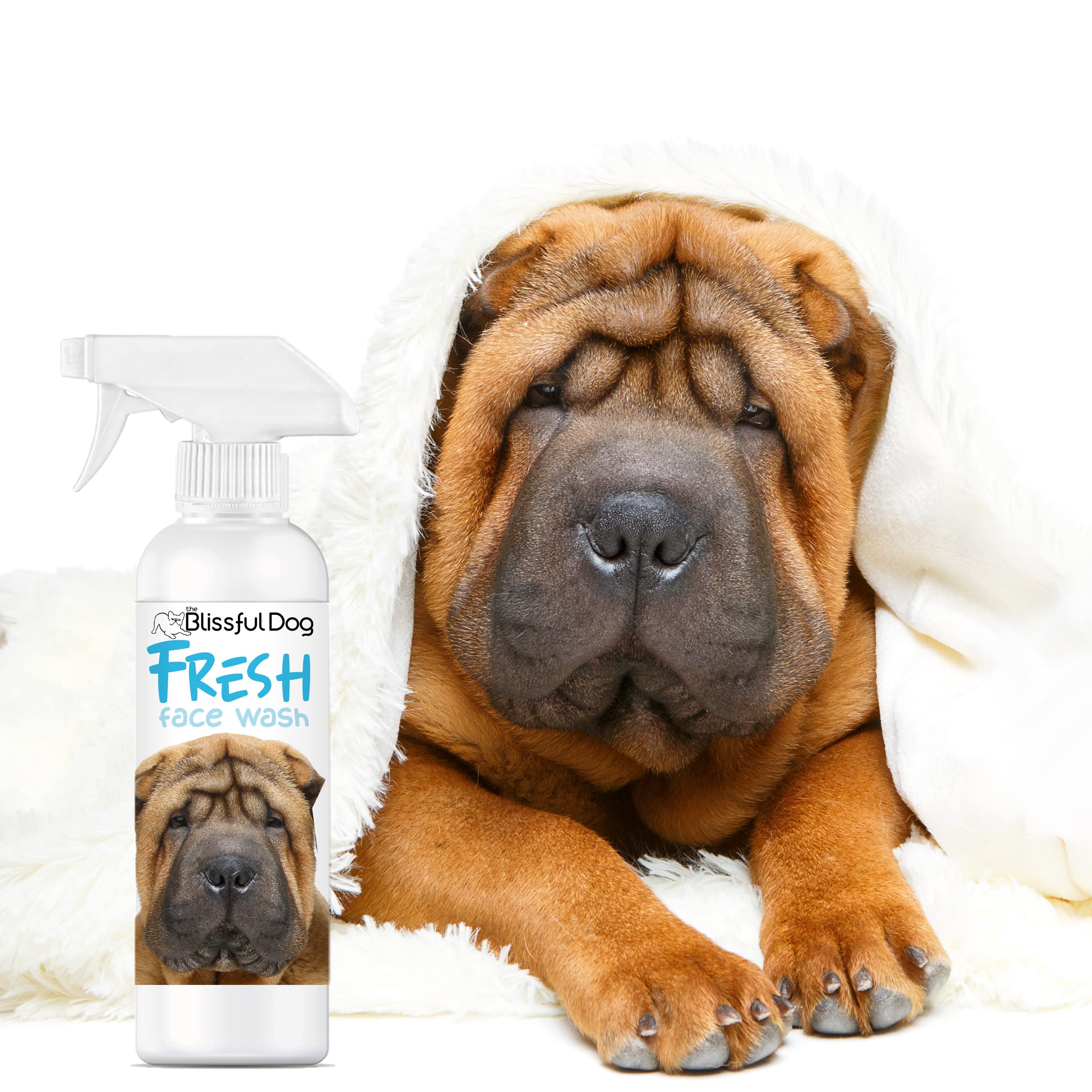 How Often Should I Wash My Terrier Mix