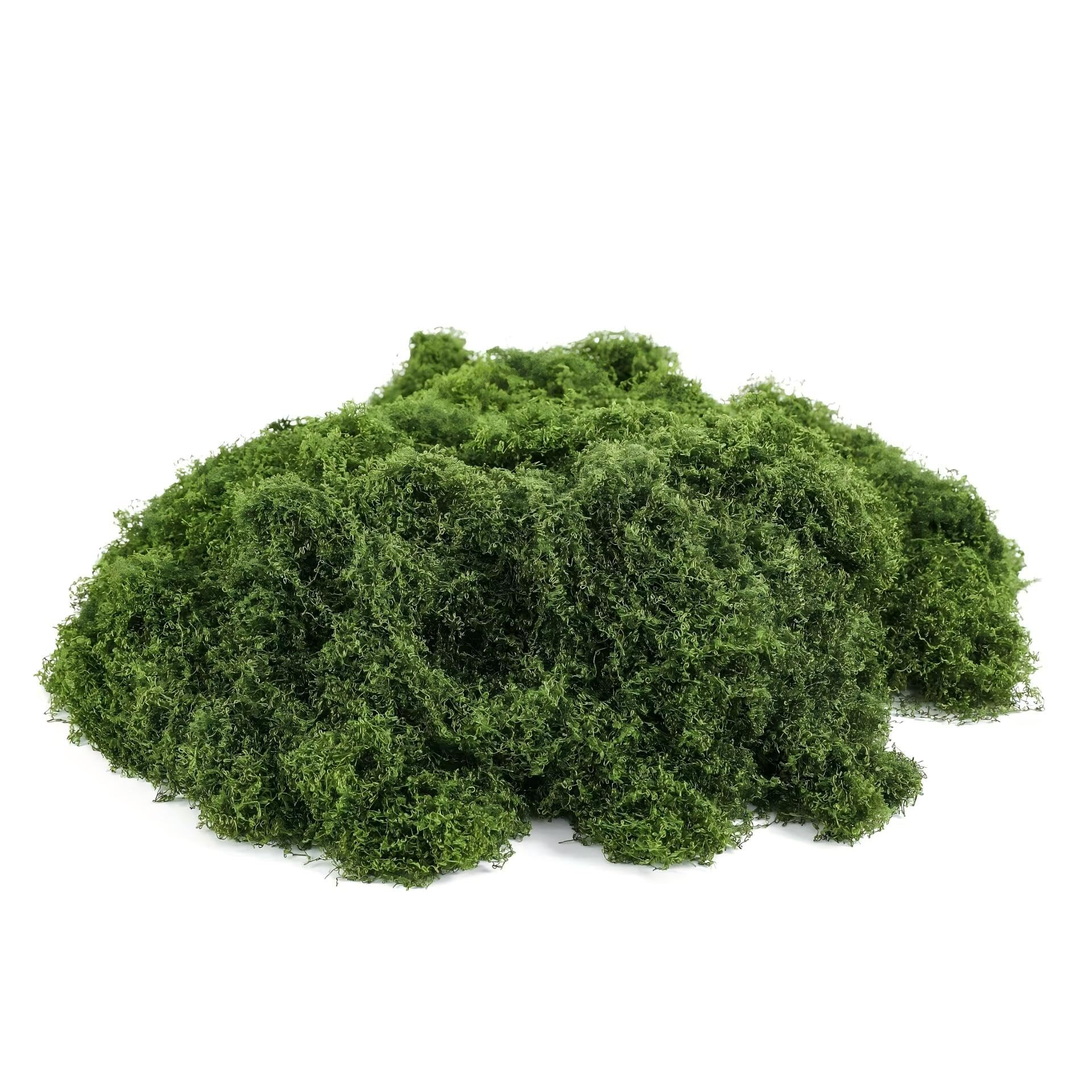Minwegi Dark Green Fake Moss, 100G Artificial Moss, Fake Green Lichen Plants For Home, Garden, Landscaping, Floristry, Model Making, Arts And Crafts