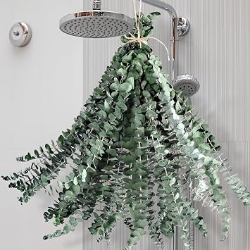 24 PCS Dried Eucalyptus for Shower Hanging 17 Preserved Eucalyptus Stem