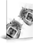 HesenDot 30x40cm Raccoon Wrapped in Towel Funny Framed Bathroom Wall Art | Wrapped Canvas Wood Frame, Black and White Raccoon Poster Print, Humorous Kid Room Restroom Toilet Nursery Home Wall Décor