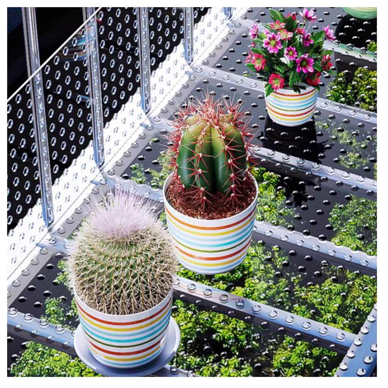 Vnook Plaques de Polycarbonate perforées, écran de sécurité décoratif | Avec perforations de 10 mm, écran décoratif pour balcon, protection étanche pour fenêtre(50x100cm)