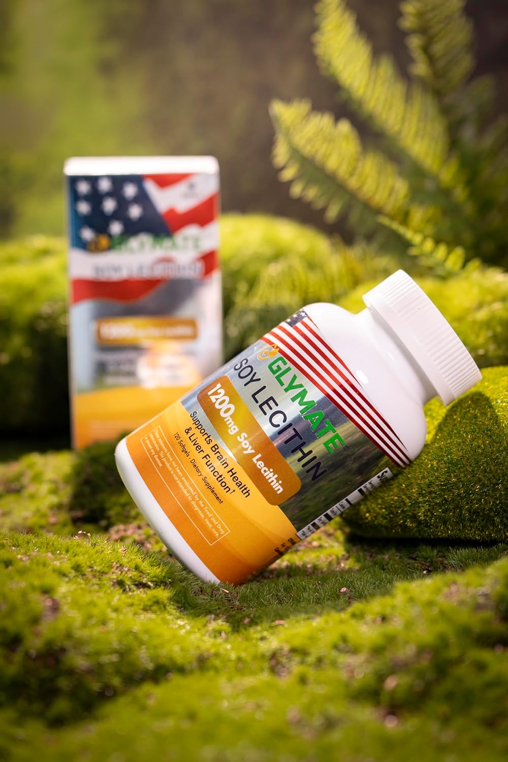 Soy Lecithin 1200mg Non-GMO