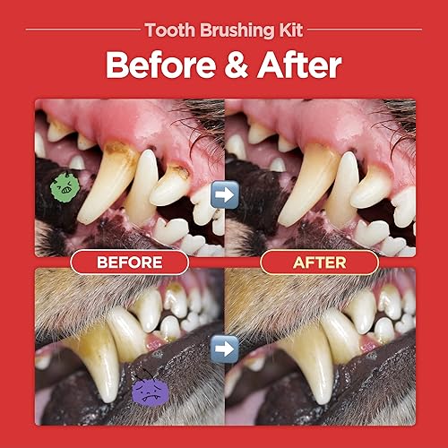 Miniatura 2 de JAYU PET Kit de cepillado dental  Gel dental 1EA + cepillo de cuidado dental 1EA  Juego de cepillos de dientes para perros y gatos, kit de cuidado